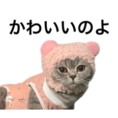 [LINEスタンプ] ねこのがおちゃん2