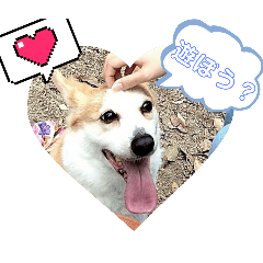 [LINEスタンプ] お散歩はむちゃん
