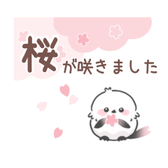[LINEスタンプ] 桜色シマエナガの春に使いやすいスタンプ