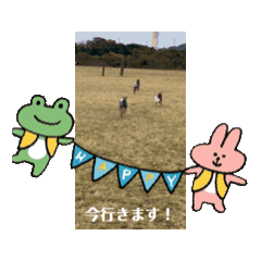 [LINEスタンプ] イタグレとミニピンNo.1