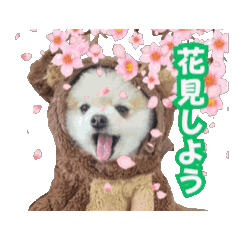 [LINEスタンプ] マメすけ 第2弾