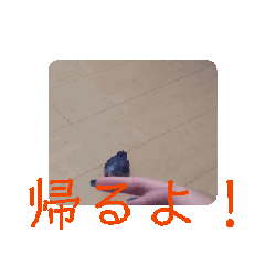 [LINEスタンプ] 可愛い子達♡♡