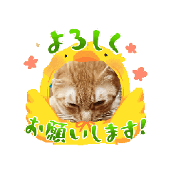 [LINEスタンプ] そらくんのスタンプ♡⃝