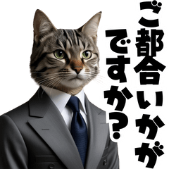 [LINEスタンプ] 【敬語】スーツを着た猫たち