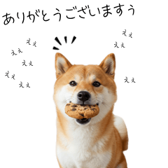 [LINEスタンプ] 仕事で使える柴犬スタンプ