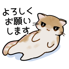 [LINEスタンプ] ねこのチョコちゃん