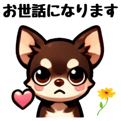 [LINEスタンプ] ていねいチワワのごあいさつスタンプ