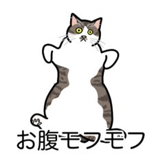[LINEスタンプ] 猫あるある（キジ白猫／短毛）