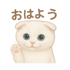 [LINEスタンプ] 白猫スコティッシュホールドのあいさつ