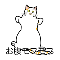 [LINEスタンプ] 猫あるある（ぶち猫（白茶）／短毛）