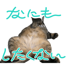 [LINEスタンプ] 猫日和な猫屋敷スタンプⅡ