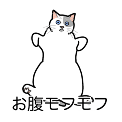[LINEスタンプ] 猫あるある（ぶち猫（白灰）／短毛）