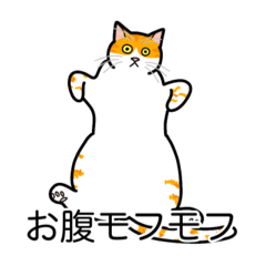 [LINEスタンプ] 猫あるある（茶白猫／短毛）