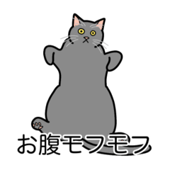 [LINEスタンプ] 猫あるある（灰色猫／短毛）