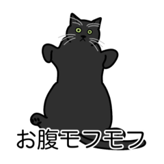[LINEスタンプ] 猫あるある（黒猫／短毛）