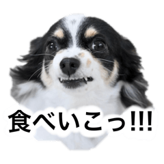 [LINEスタンプ] おーぴースタンプ