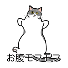 [LINEスタンプ] 猫あるある（ハチワレ灰色猫／短毛）