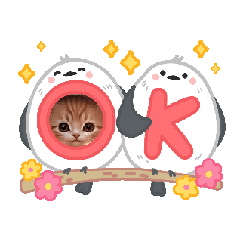 [LINEスタンプ] 毎回使えるスタンプ可愛い子猫