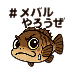 [LINEスタンプ] #メバルやろうぜスタンプ