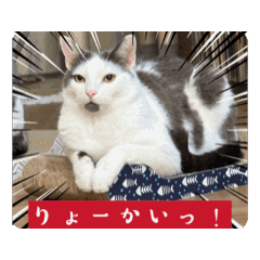 [LINEスタンプ] おかゆ＆ピッコロ