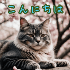 [LINEスタンプ] 礼儀正しい猫のご挨拶