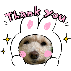 [LINEスタンプ] おマルマルスタンプー