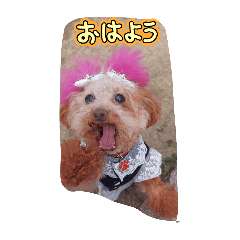 [LINEスタンプ] threeAngel