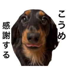 [LINEスタンプ] 三度の飯よりこうめ