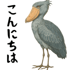 [LINEスタンプ] 微動だにしないハシビロコウ