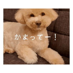 [LINEスタンプ] 動くおマルマル