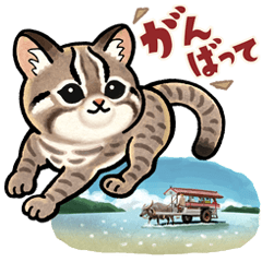 [LINEスタンプ] 動物の日常会話【沖縄篇】