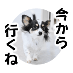 [LINEスタンプ] おーぴースタンプ2