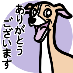 [LINEスタンプ] 【フォーン】1年中使えるイタグレスタンプ