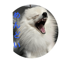 [LINEスタンプ] 犬＆‪ハムスター＆亀の画像（メイン）