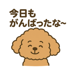 [LINEスタンプ] 関西弁トイプードルスタンプ