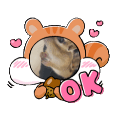 [LINEスタンプ] 可愛い子分たち