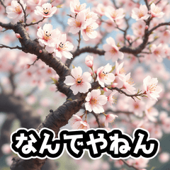 [LINEスタンプ] しゃべる桜スタンプ（感情ぐちゃぐちゃ）