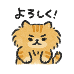 [LINEスタンプ] 茶トラのハルくんスタンプ
