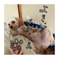 [LINEスタンプ] 千河のお芋の画像（メイン）