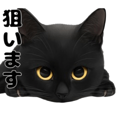 [LINEスタンプ] かわいい黒猫ちゃんのスタンプ
