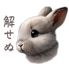 [LINEスタンプ] 許すまじなうさぎのスタンプ