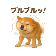 [LINEスタンプ] 柴犬あるあるスタンプ②