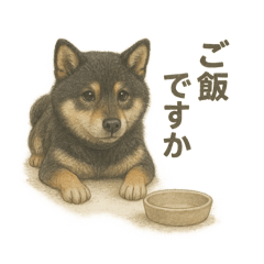 [LINEスタンプ] 柴犬あるあるスタンプ③