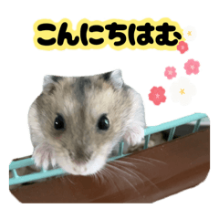 [LINEスタンプ] とのまるの日常。