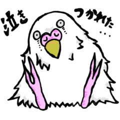 [LINEスタンプ] インコの日常会話面白い