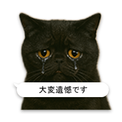 [LINEスタンプ] 敬語な黒エキゾチックショートヘア