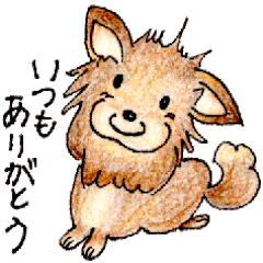 [LINEスタンプ] チワワのコハちゃんスタンプ
