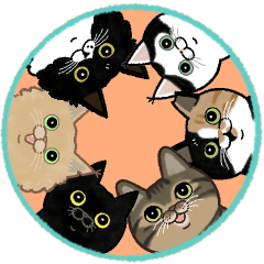 [LINEスタンプ] サカイさんちのにゃんこたち。
