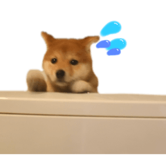 [LINEスタンプ] ぽん部長の日常