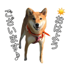 [LINEスタンプ] ももちゃんと。